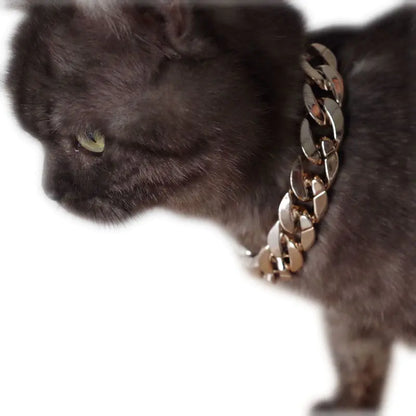 Elegant Pet Chain Necklaces