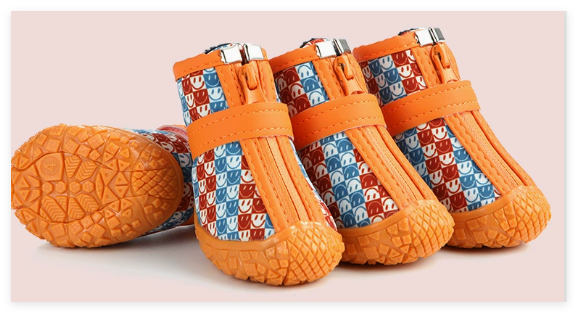 Pet Shoes