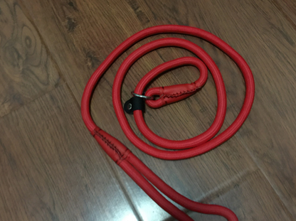 Premium Dog Leash in Assorted Colors