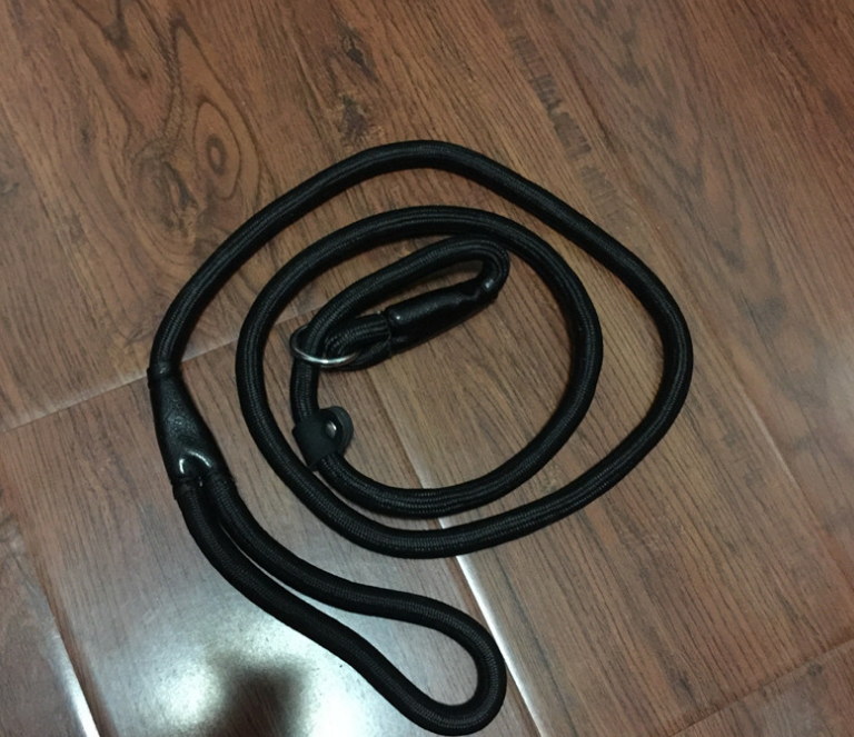 Premium Dog Leash in Assorted Colors