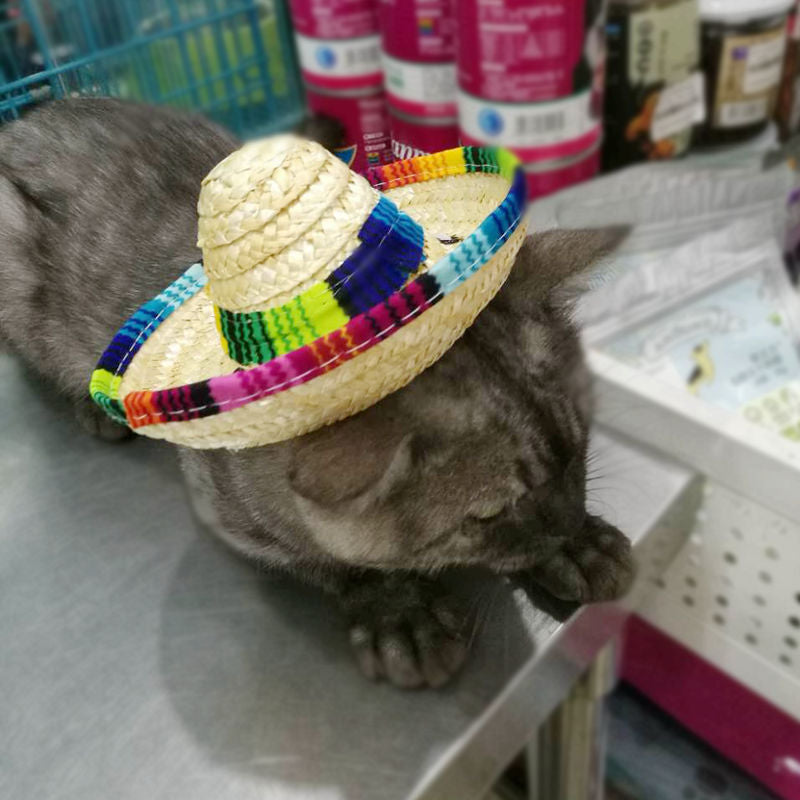 Chic Pet Sun Visor