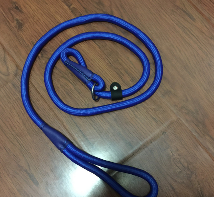 Premium Dog Leash in Assorted Colors