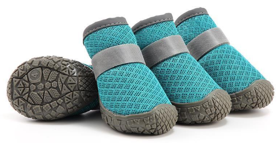 Pet Shoes