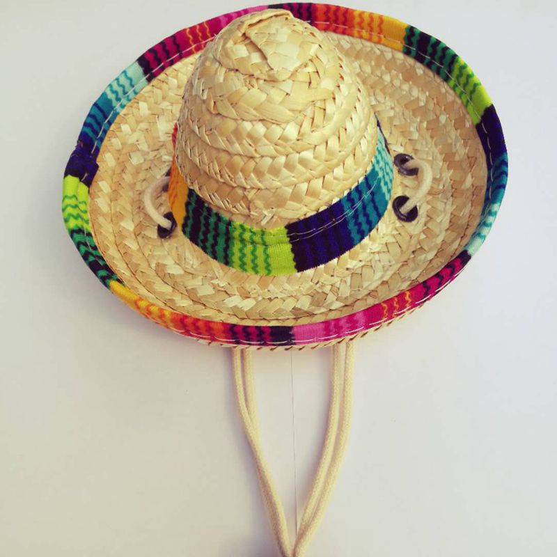 Chic Pet Sun Visor