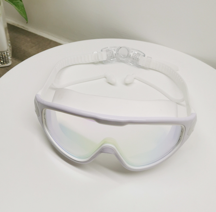 Large Waterproof Anti-fog Goggles EZ Shop