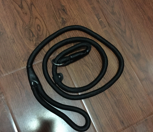 Premium Dog Leash in Assorted Colors